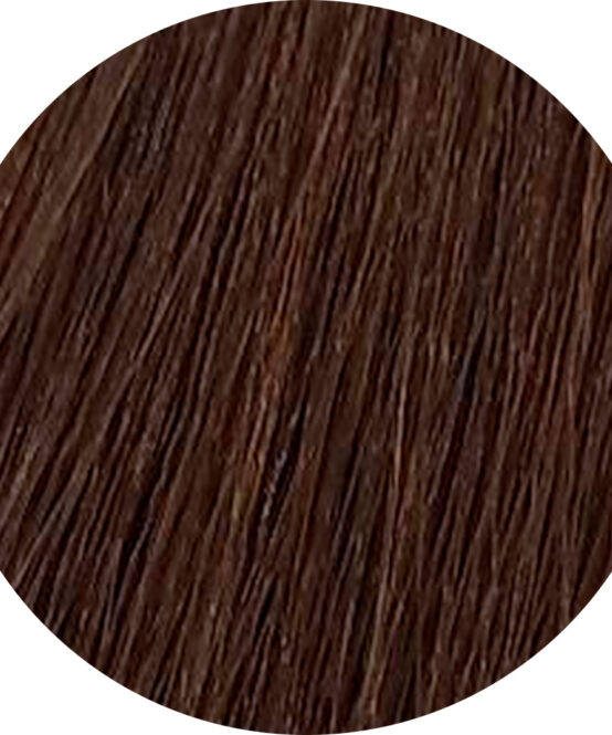 rendu coloration Hazelnut