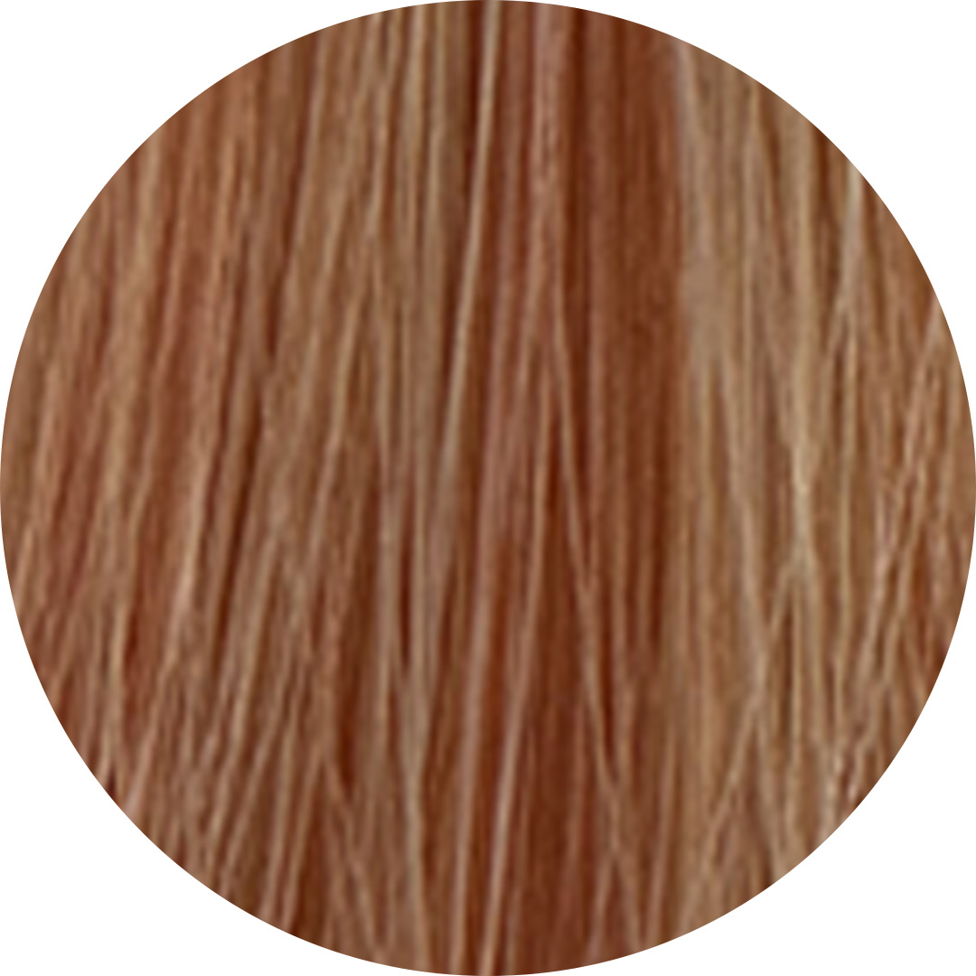 ZTC Liquid Gloss 9.04